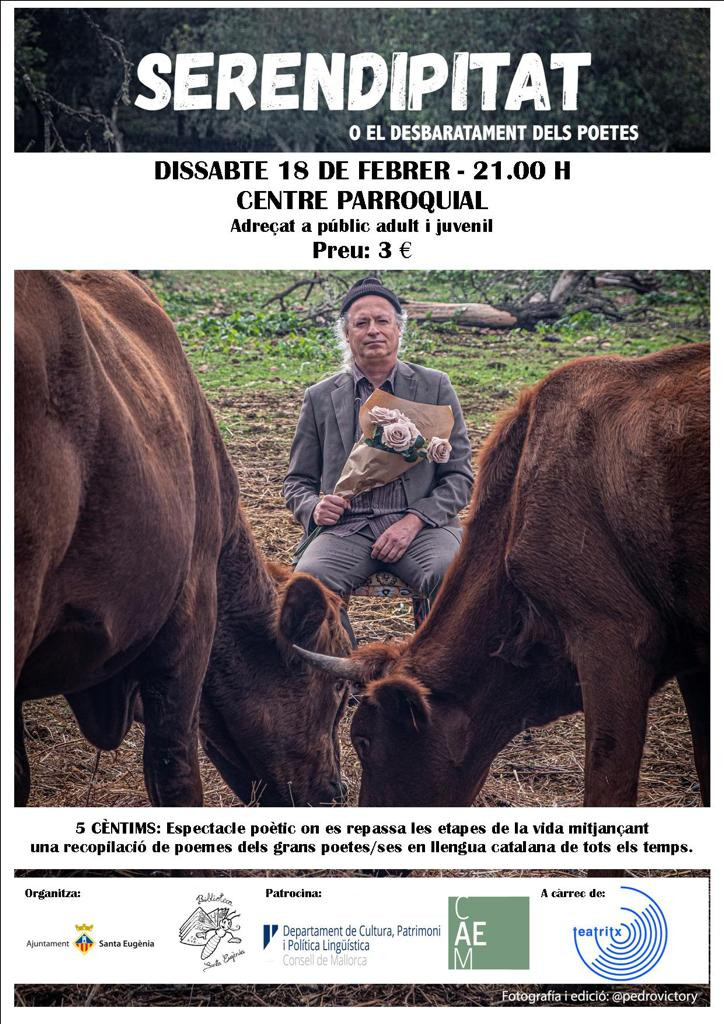 Serendipitat o el desbaratament dels poetes
