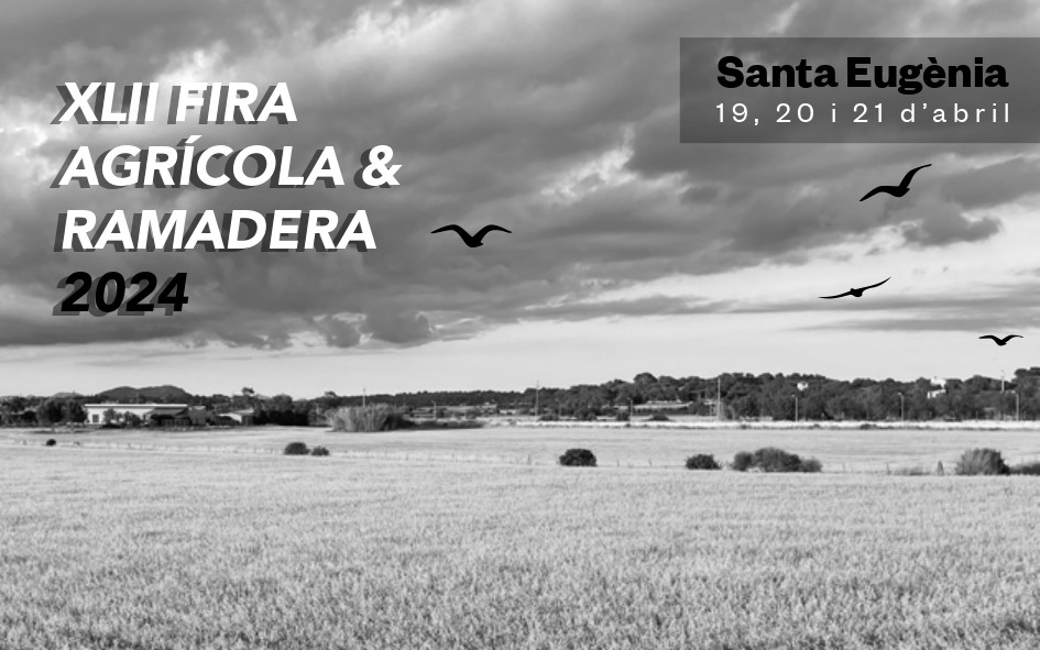 IX Trail dels Llogarets de Santa Eugènia