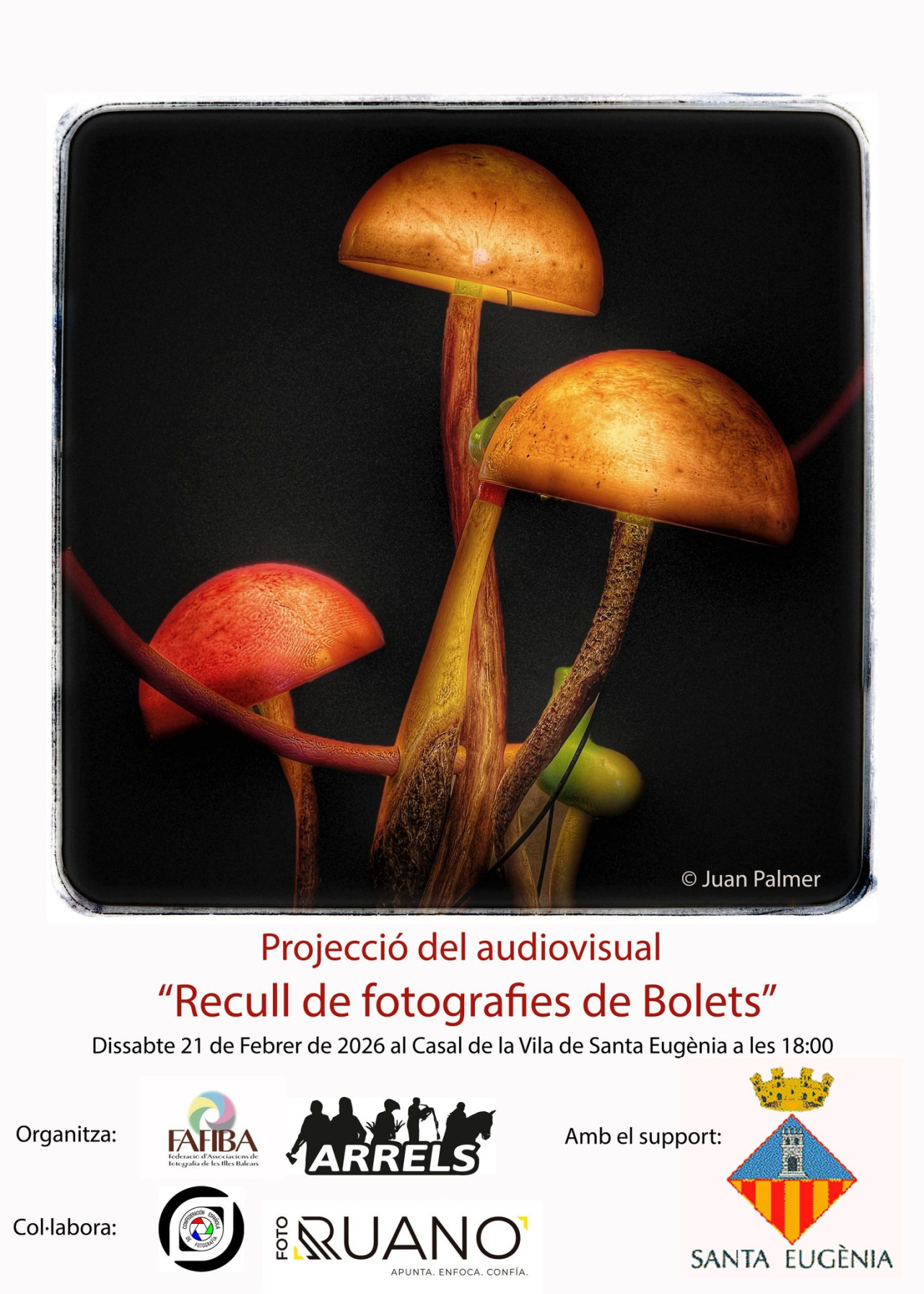 Recull de fotografies de bolets
